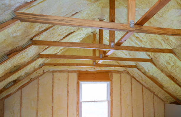 Best Attic Insulation Installation  in Warsaw, VA