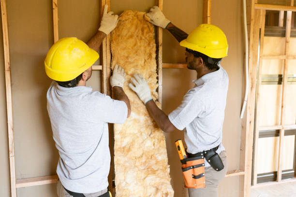 Insulation Inspection Services in Warsaw, VA