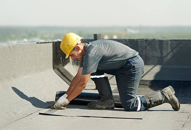 Best Insulation Inspection Services  in Warsaw, VA
