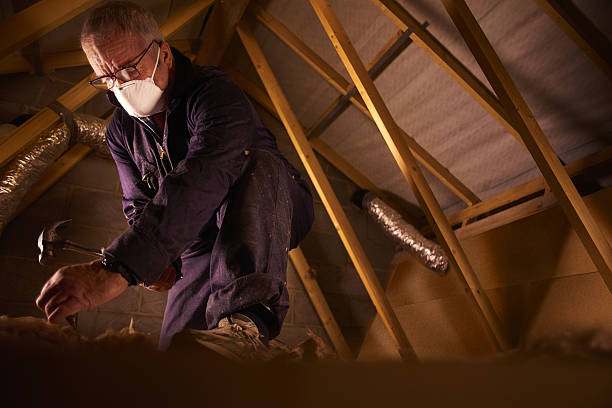 Best Energy-efficient Insulation  in Warsaw, VA